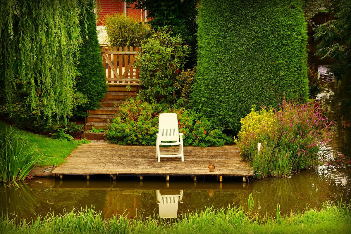 Sustainable Ways to Improve Your Outdoor Space