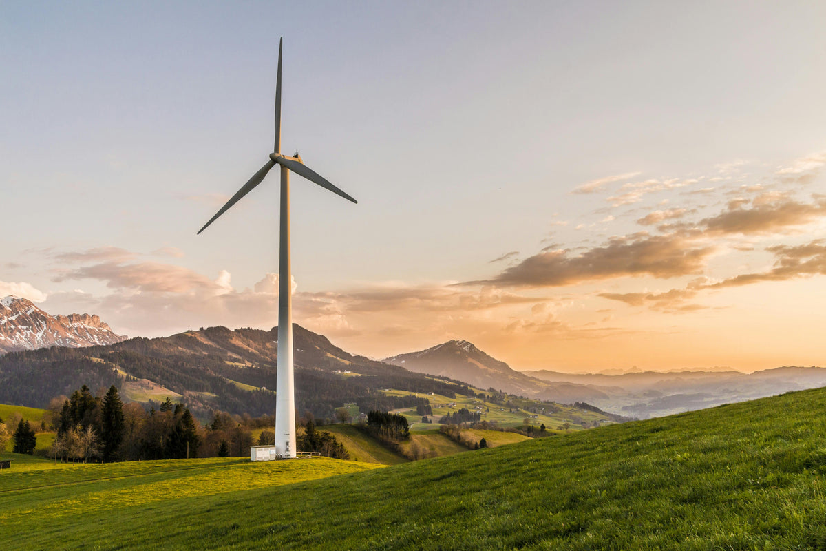 The Real Power of Renewable Energy: Building a Greener World
