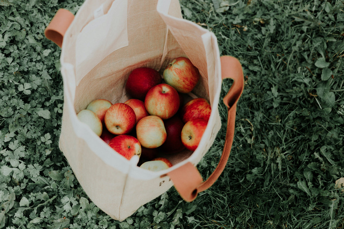Simple, Stylish, And Eco-Conscious Carry Solutions