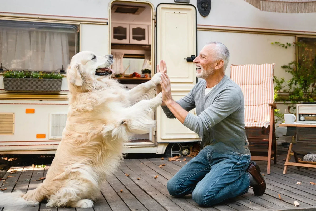 Green Living: Eco Tips for Mobile Homes | EcoBlog