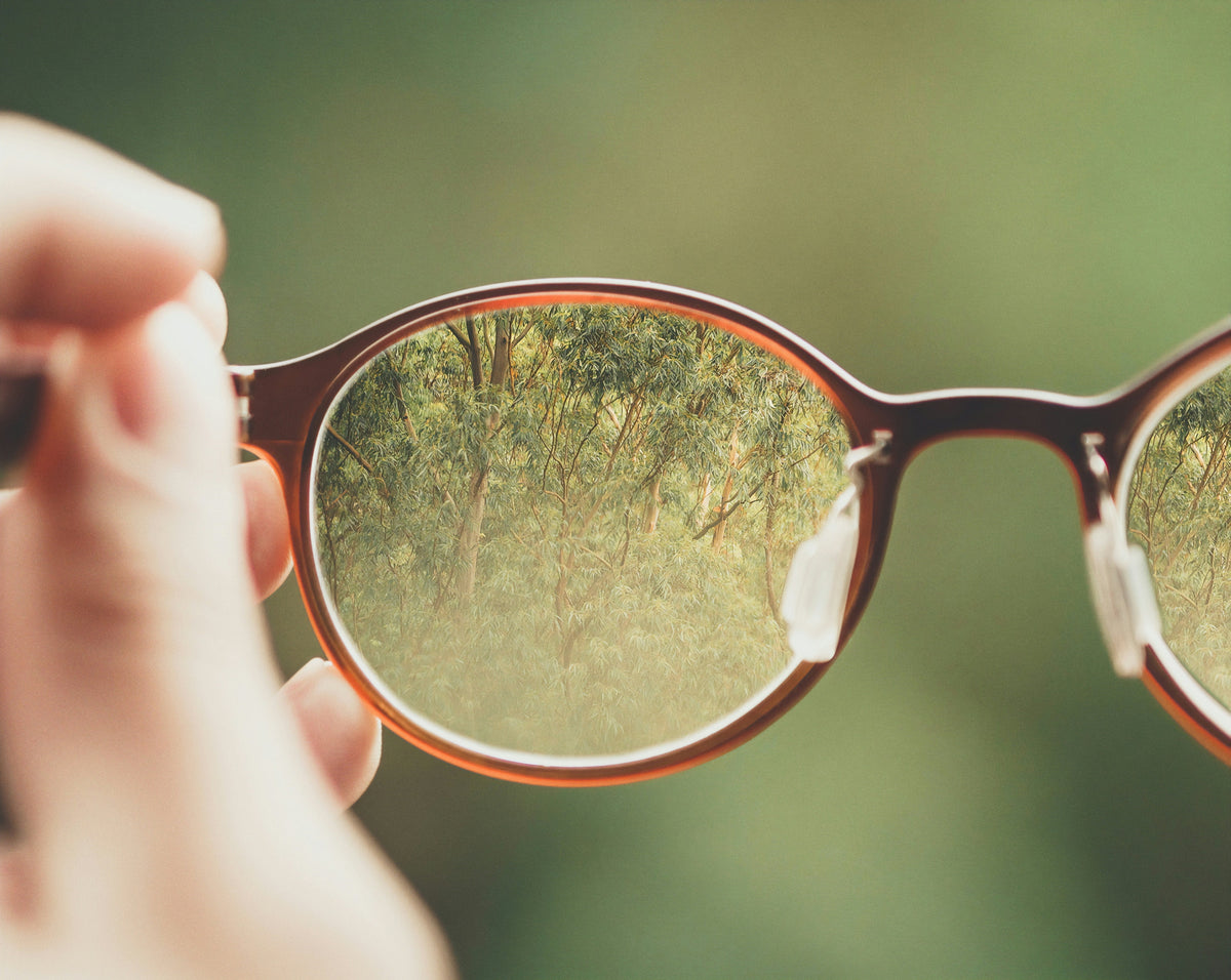 Luxury Eyewear Brands That Are Worth the Investment
