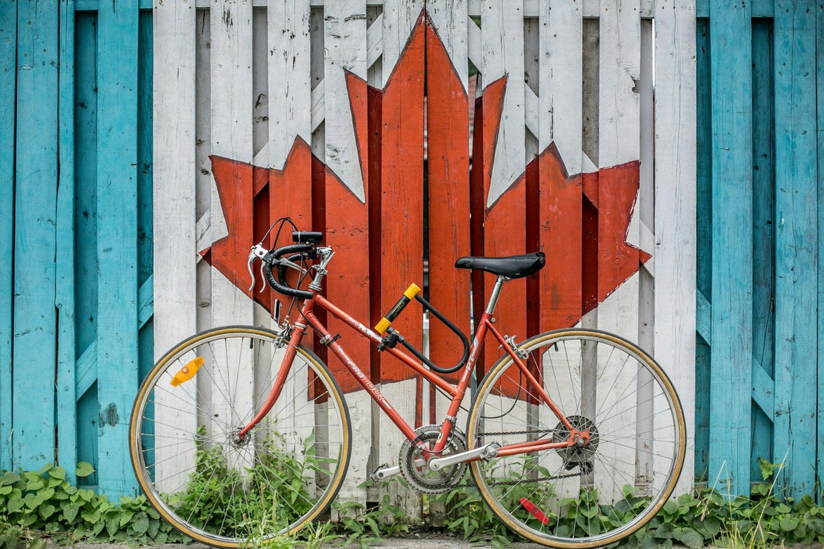 Green Wheels: How Eco-Friendly Commuting is Shaping Our Cities - The Friendly Turtle