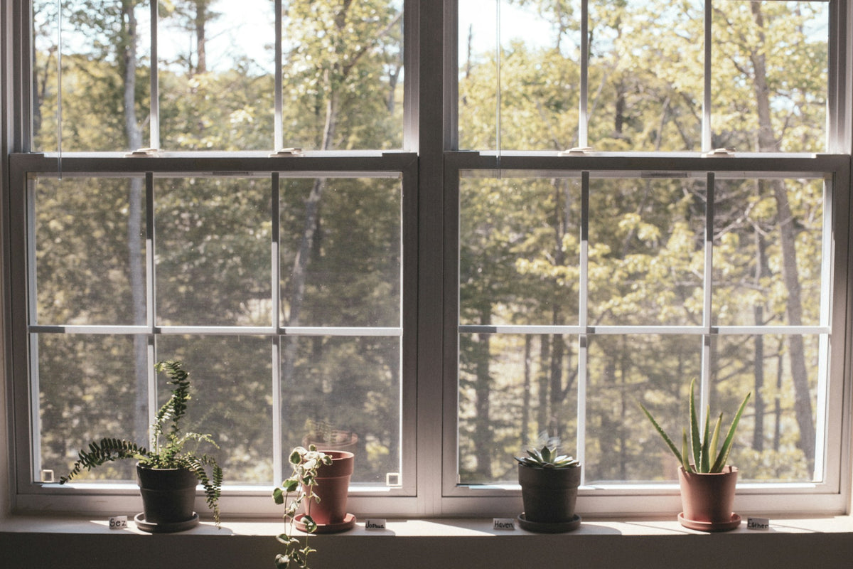 Green Window Upgrades for a Stylish Home | EcoBlog