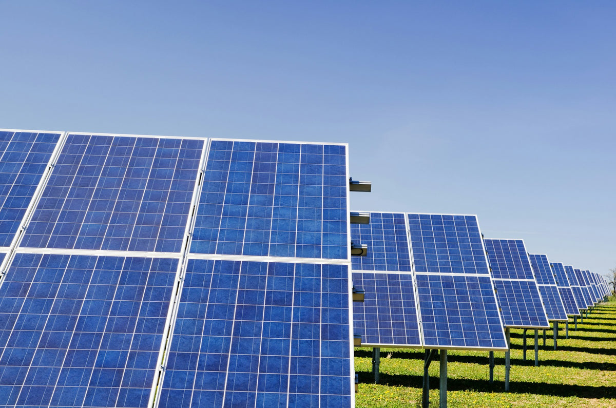 How Solar Energy Empowers Eco-Conscious Lifestyles | EcoBlog