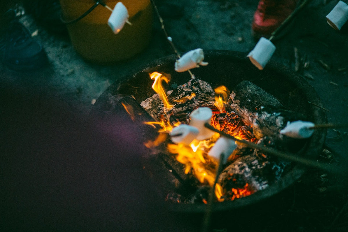 Eco-Friendly Summer Camps for Kids | EcoBlog
