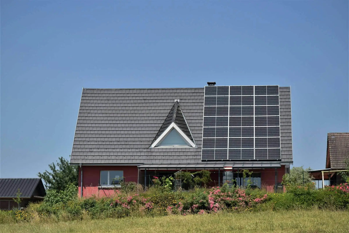 How to Create a Green Roof for Better Energy Efficiency