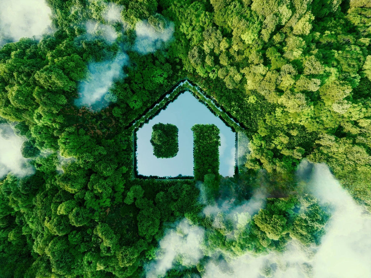 Make Your Home Eco-Friendly & Energy Efficient | EcoBlog