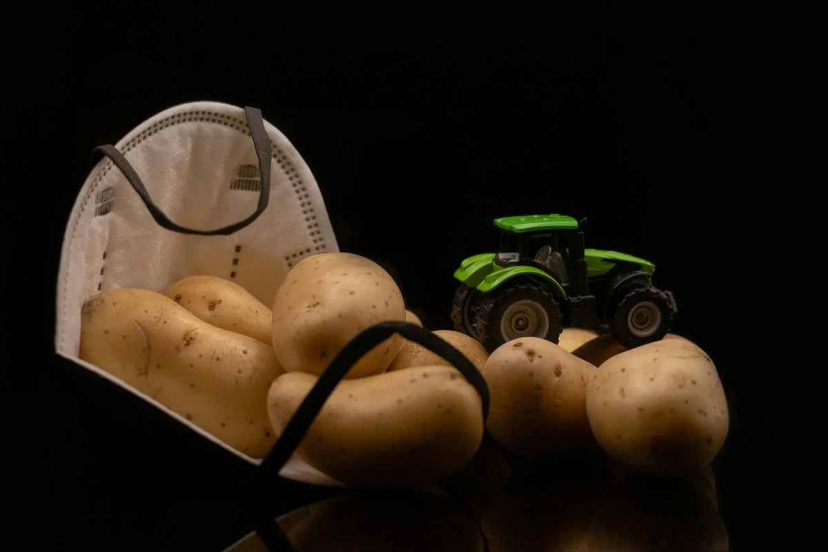 Low-Waste Storage Tips for Small Businesses  EcoBlog