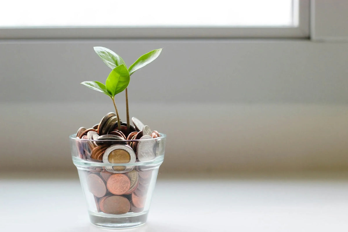 Money with a Mission: Sustainable Financial Planning | EcoBlog