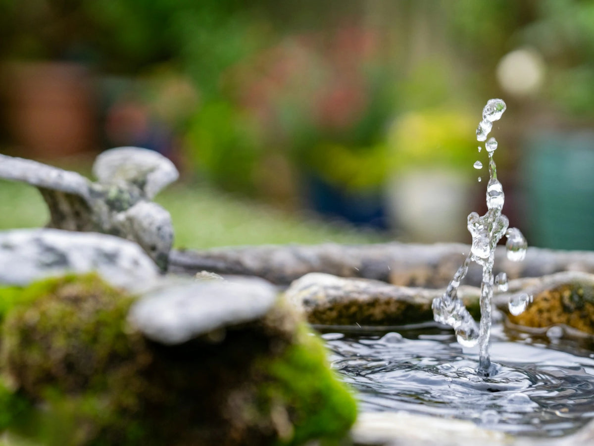 Everlasting Elegance: The Eco-Conscious Guide to Outdoor Fountains | EcoBlog