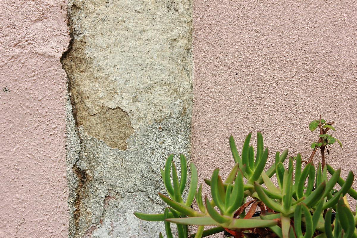 Sustainable Ways to Prevent Foundation Damage Before It Starts