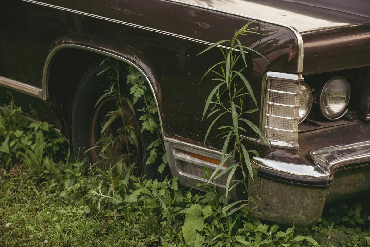 Scrap Car Recycling An Eco-Friendly Journey  EcoBlog