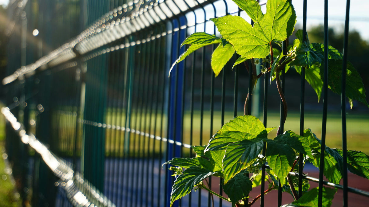 The Most Sustainable Fence Is the One Built to Last