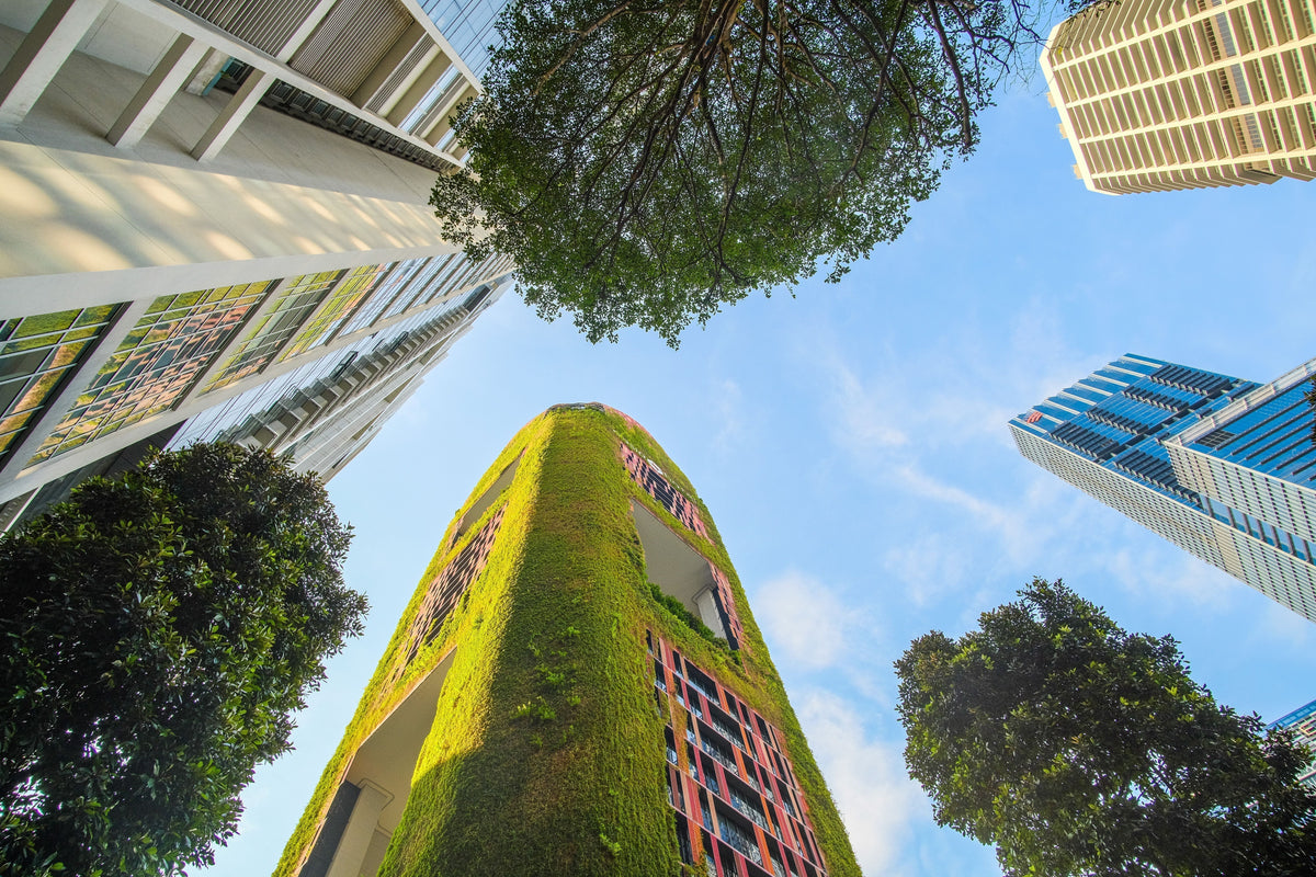 Sustainable Commercial Buildings: Why Green Developments Need More Than Good Design