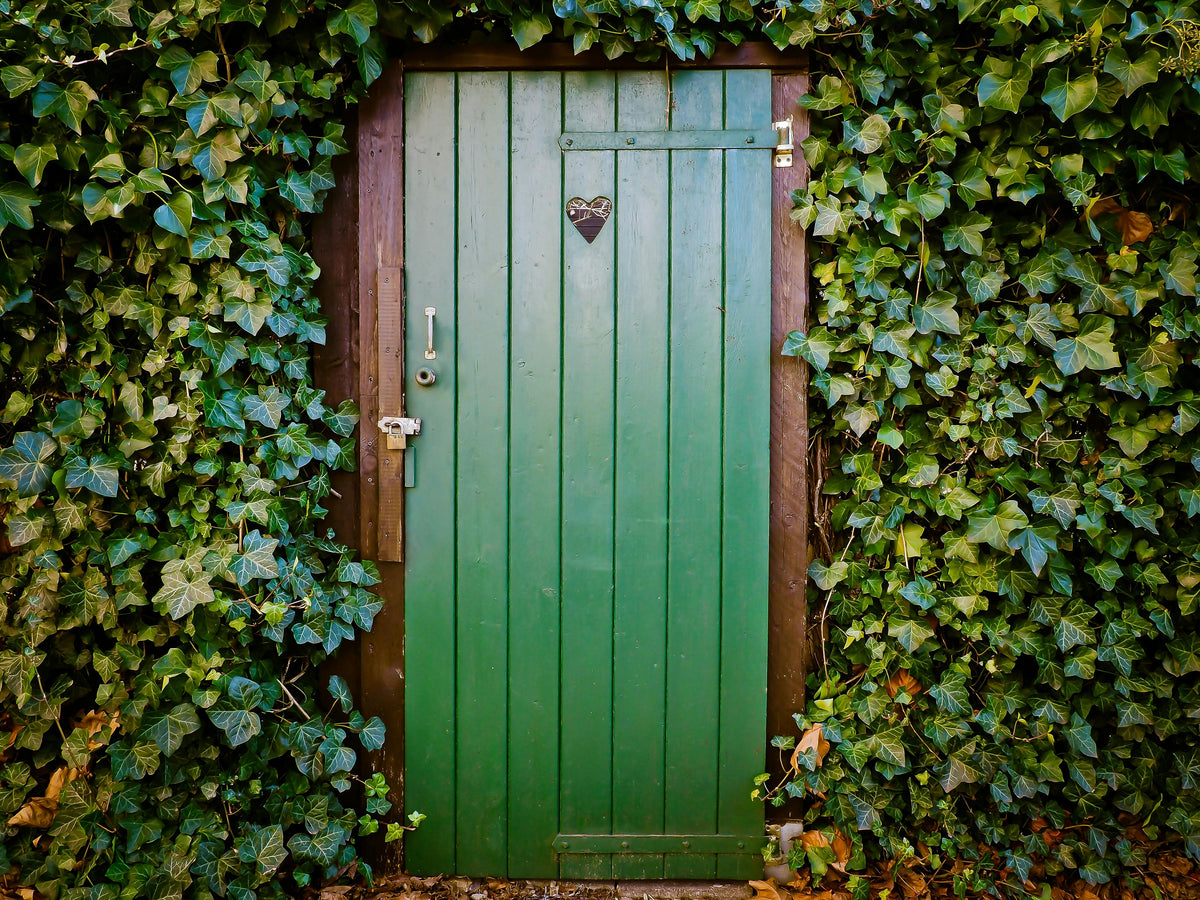 How Eco-Friendly Doors Boost Home Energy Efficiency