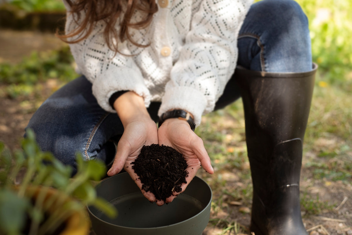 Sustainable Garden Practices That Quietly Discourage Pests