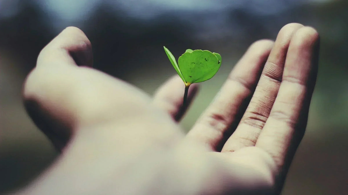 Life Insurance & Sustainable Homeownership | EcoBlog