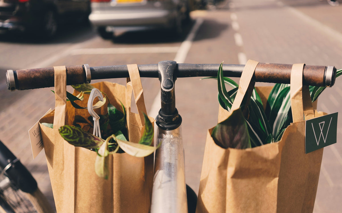 How Sustainable Living Can Save You Money Long Term