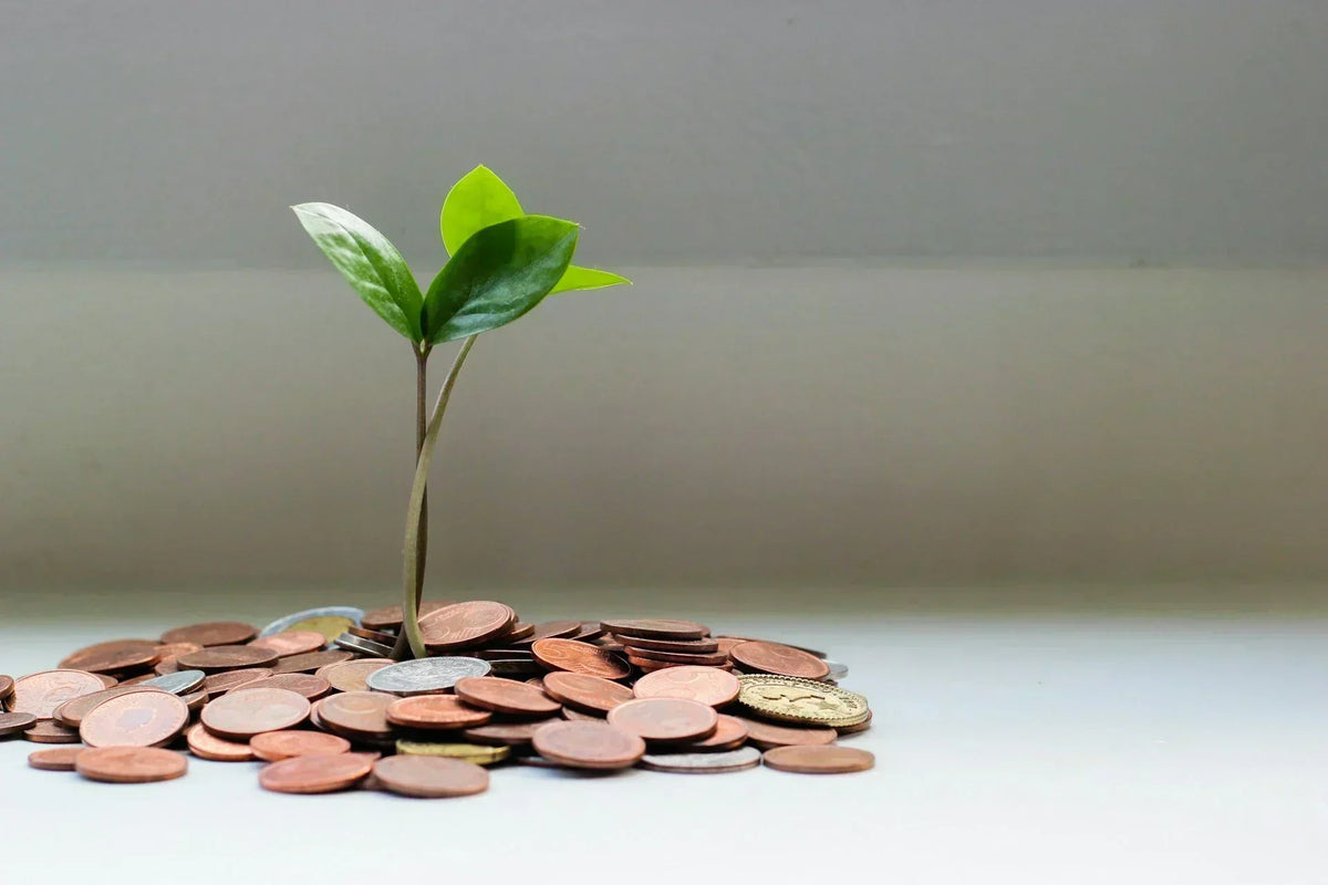 Sustainable Living After Bankruptcy Steps to Rebuild Your Financial Health