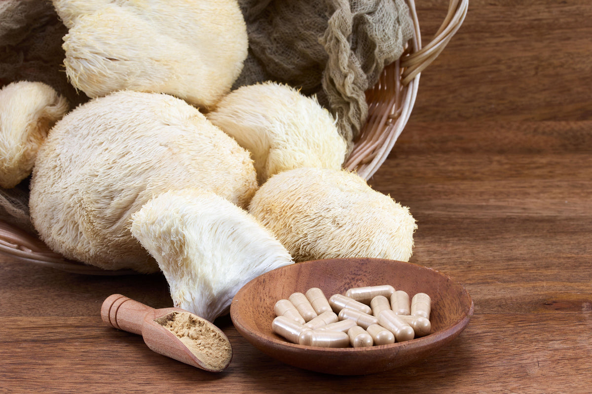 How to Choose a Lion's Mane Supplement: A Practical Guide to Ingredients, Testing and Quality