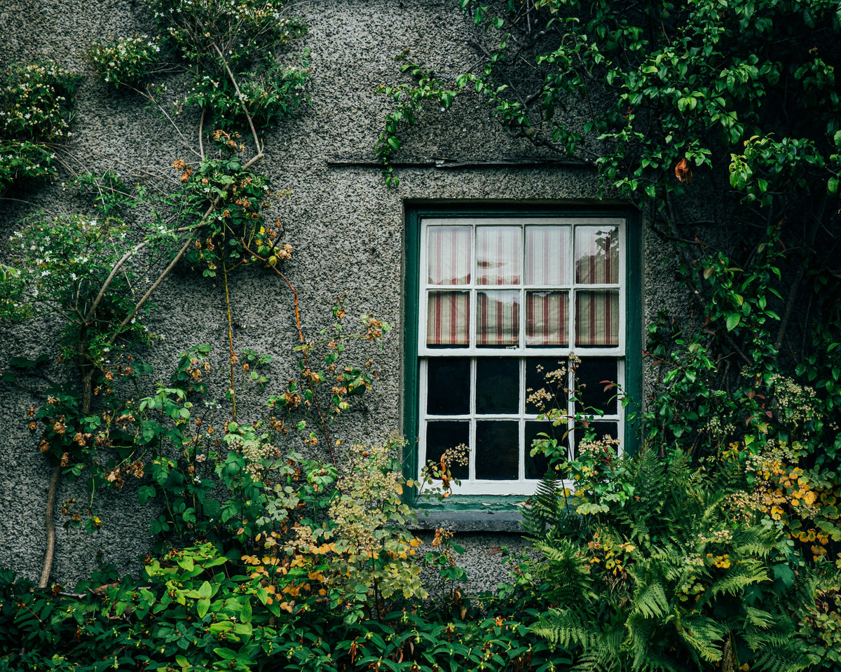5 Signs Your Windows Are Hurting Your Home's Energy Efficiency