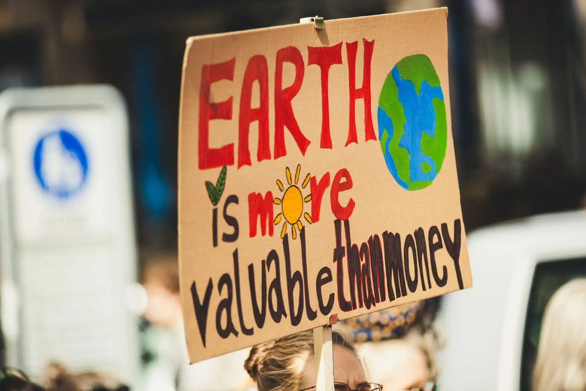 Earth is more valueble than money | Sustainble Living | EcoBlog