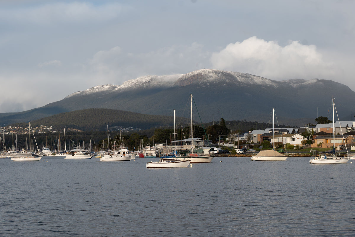 How Tasmania's Climate Shapes Sustainable Shed Design