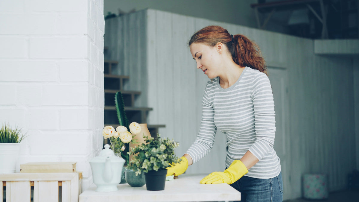 The Benefits of Eco-Friendly Cleaning at Home