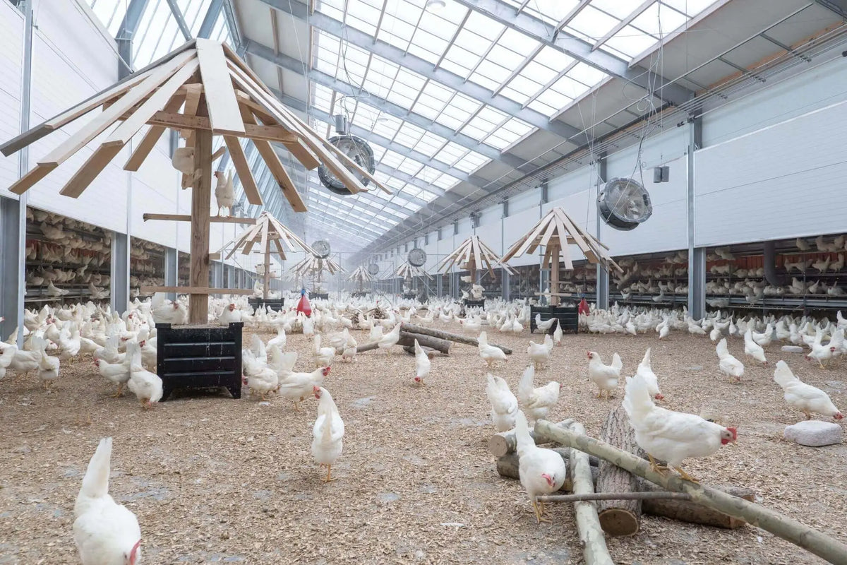 Environmental Benefits of Recycled Wall Panels | EcoBlog