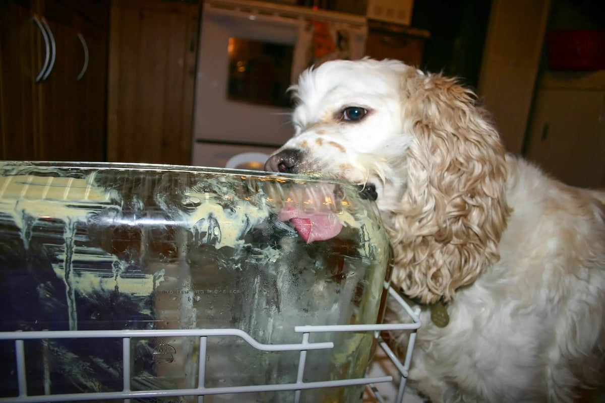 Tips for Running Your Dishwasher in an Eco-Friendly Way