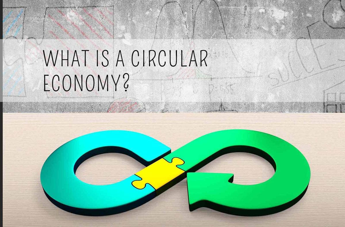 what is a circular economy infographic