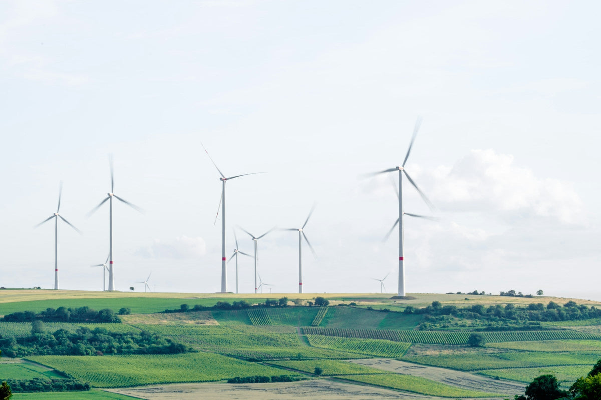 How Green Tech Helps Cut Environmental Impact