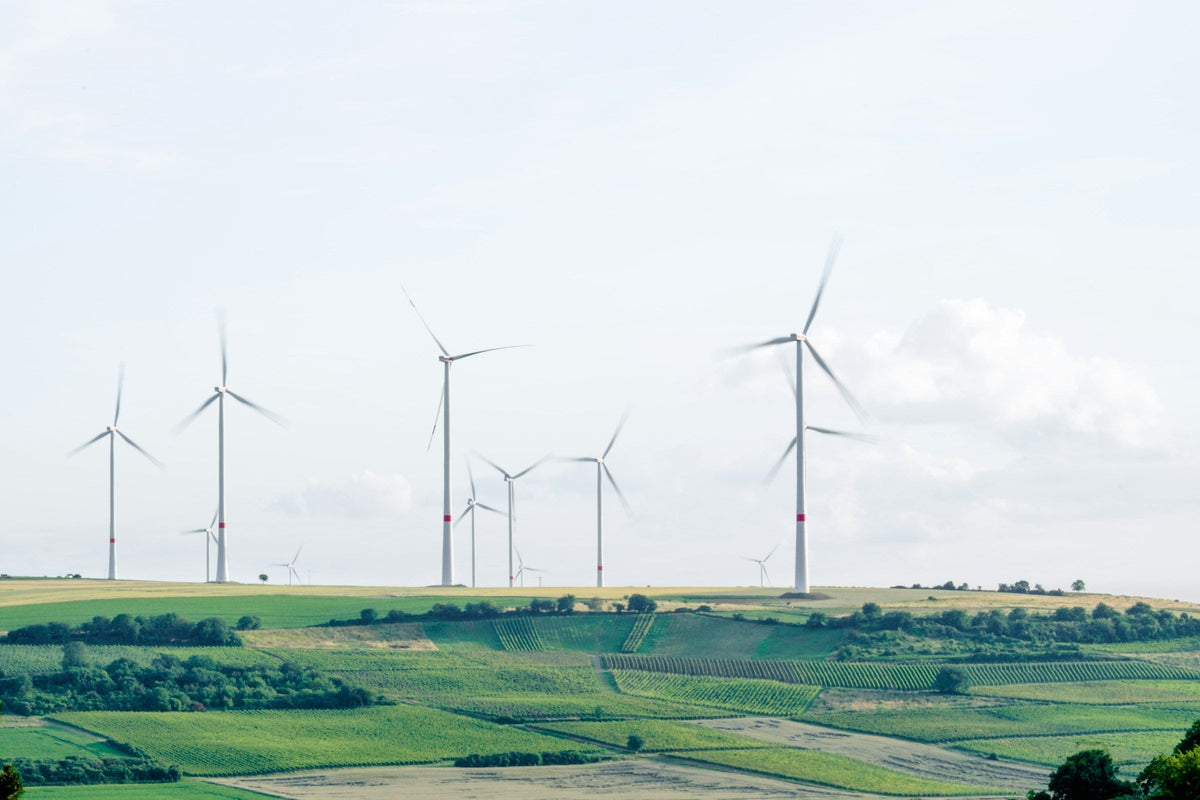 How Green Tech Helps Cut Environmental Impact