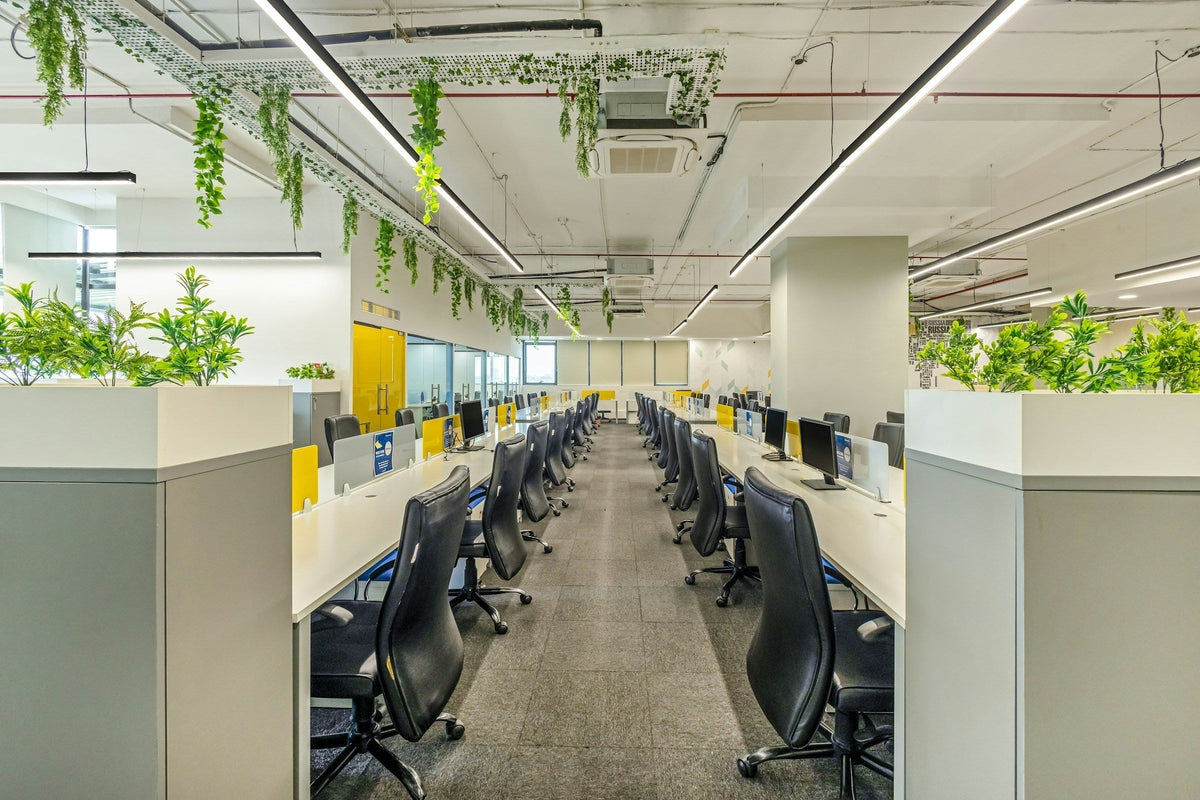 Eco-Friendly Workplace Hygiene: Why Green Cleaning Matters