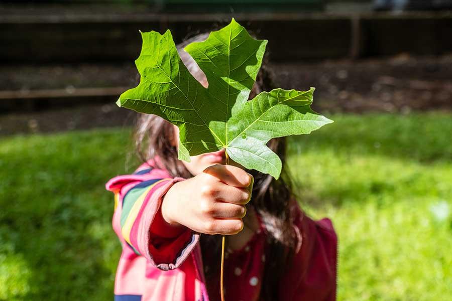 Integrate Ecology Into School Subjects