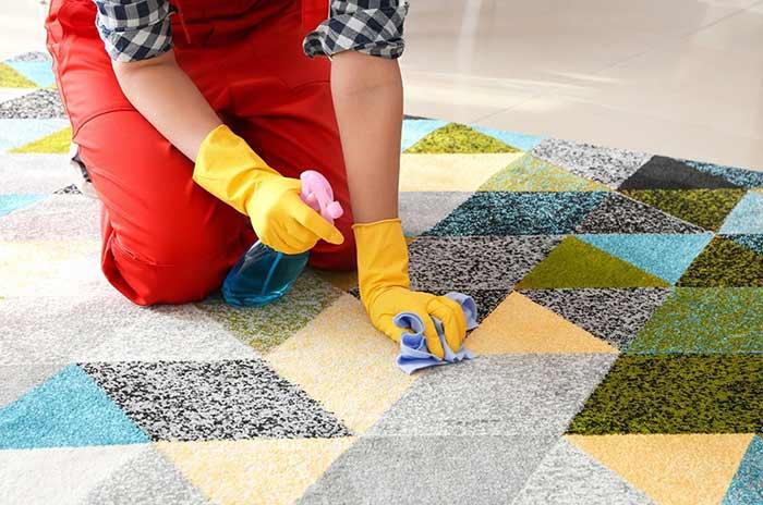 Top 5 Eco Carpet Cleaning Tips To Protect Your Carpets - The Friendly Turtle