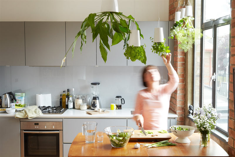 Eco-Friendly Kitchen and Home Styles