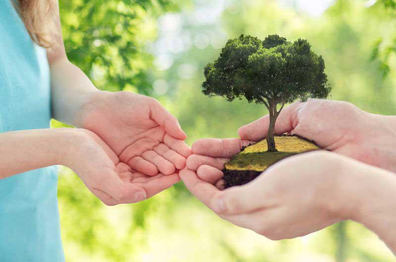 family benefits of living eco friendly