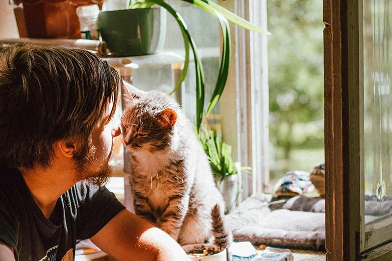 sustainable cat parent with their cat