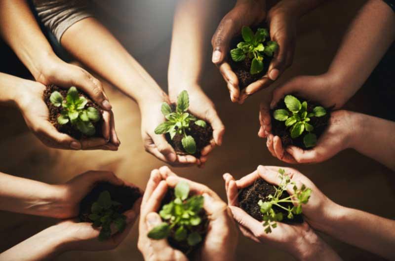 kids holding plants in their hands