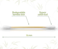biodegradable cotton buds infographic