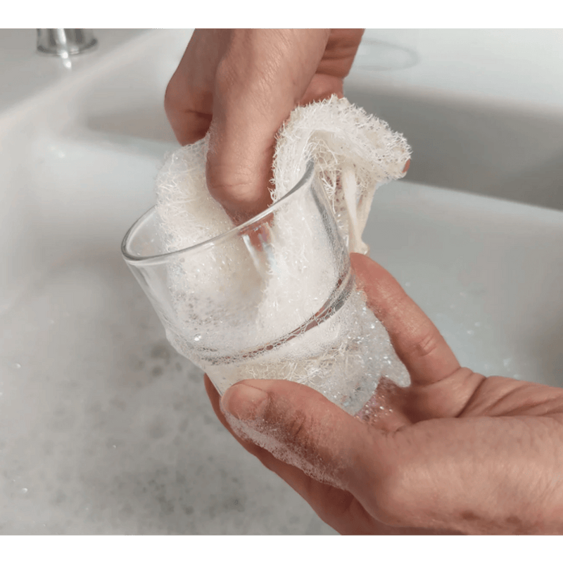 Loofco Washing-Up Slim Pad 4 Pack