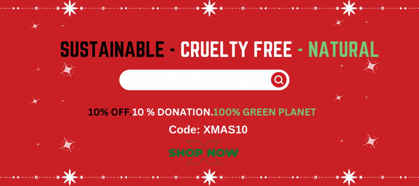 Friendly Turtle Sustainable Xmas Gifts