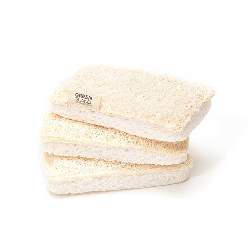 compostable sponges