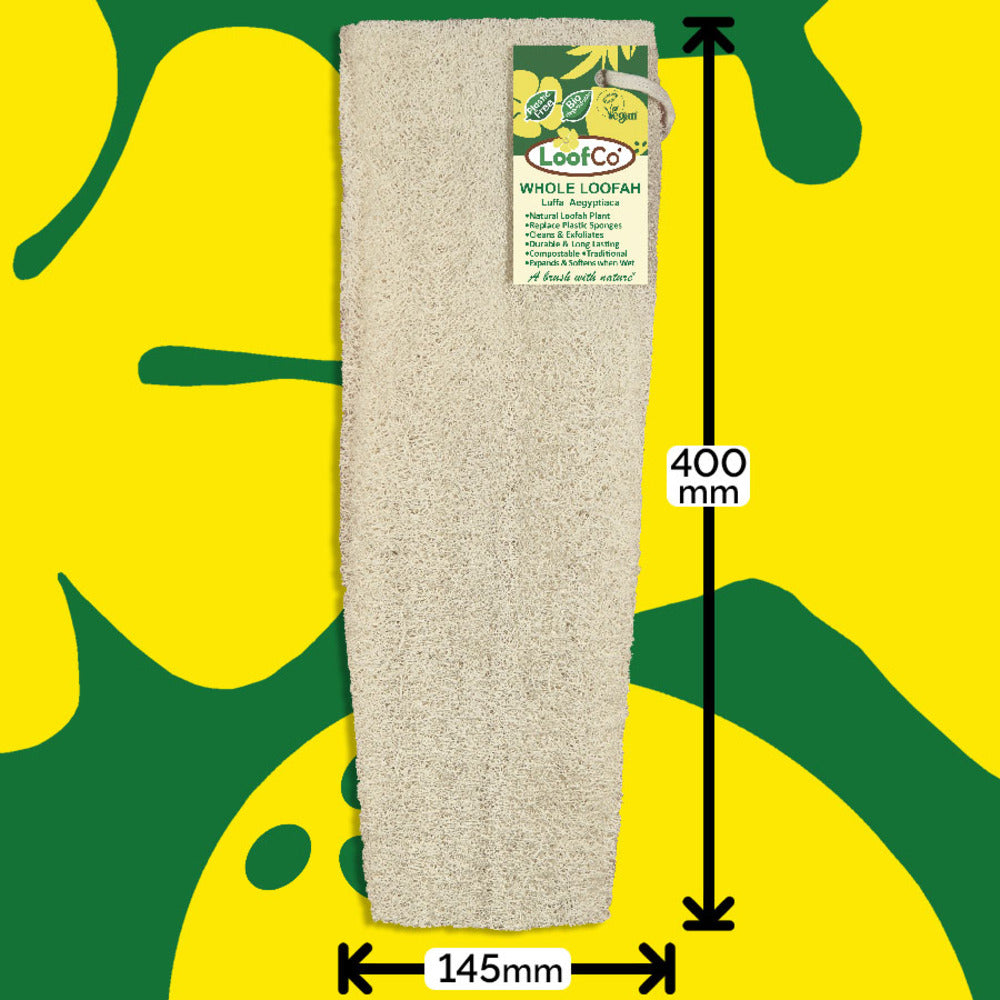 Loofco Whole Loofah