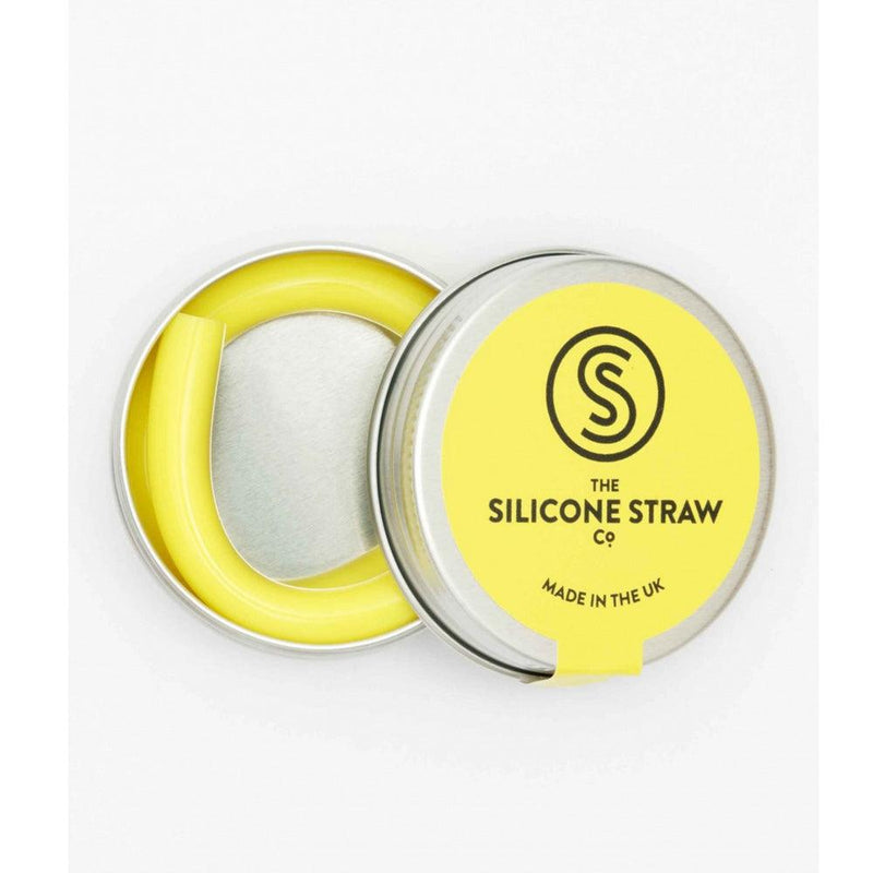 Reusable Silicone Straw in Travel Tin - The Friendly Turtle