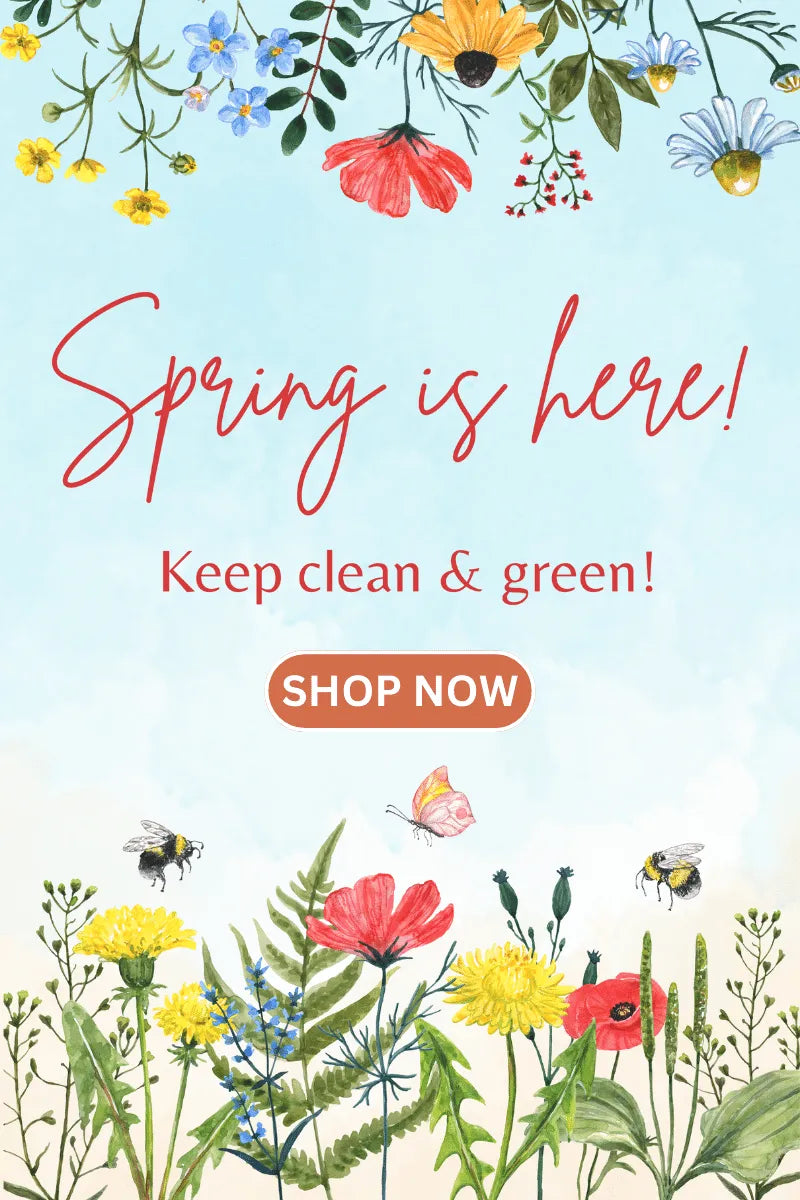 Eco Friendly Spring Cleaning | Zero Waste Shop | Friendly Turtle