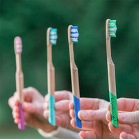 adult bmbooth toothbrushes in hands
