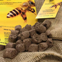 bee bombs wild flower seeds for bees in clay and soil