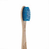 beechwood toothbrush firm bristles from georganics